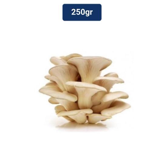 

Jamur Tiram 250 gr