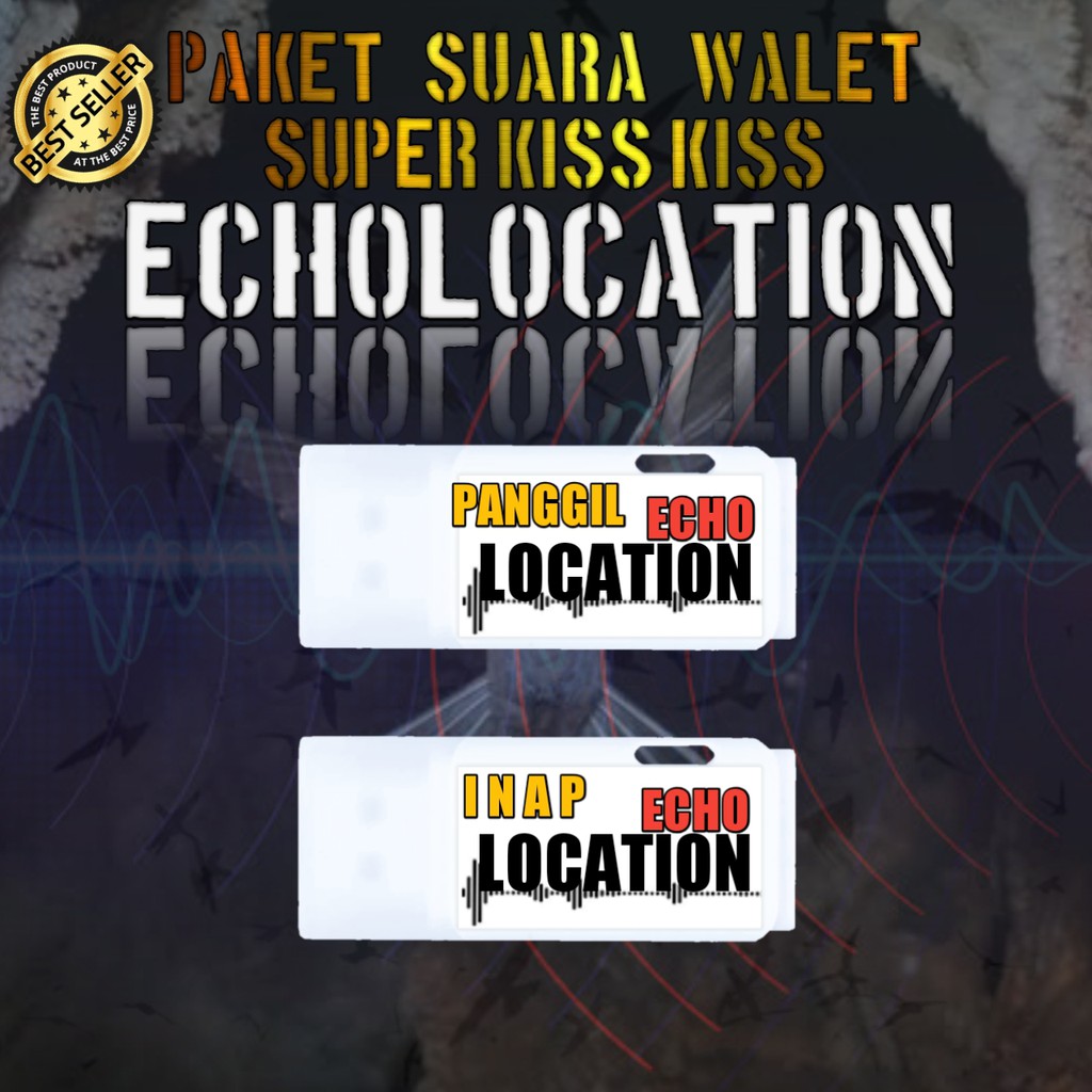 Paket Suara Walet Echolocation Original Respon Kiss | Suara Walet Panggil Tarik dan Inap