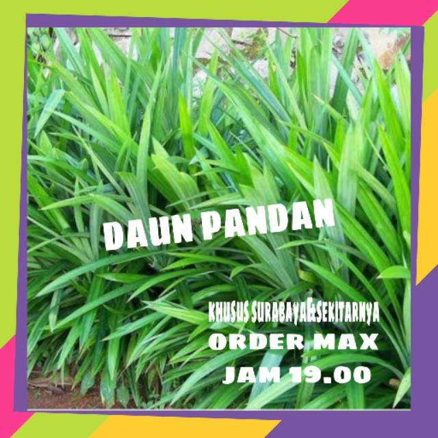 

Daun pandan per ikat atau per 10 ikat || sayur online murah surabaya