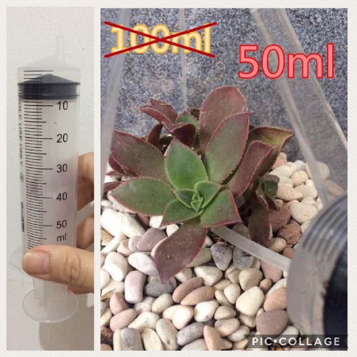 50ml watering syringe suntikan air untuk kaktus 