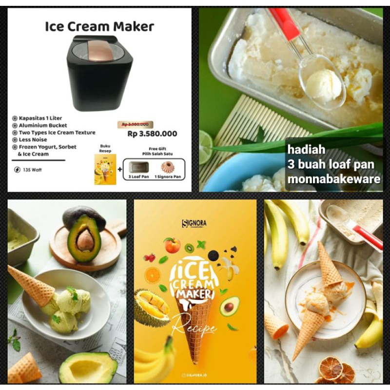 

ice cream maker Signora