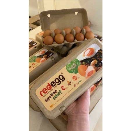 

TELUR AYAM NEGERI ORGANIK