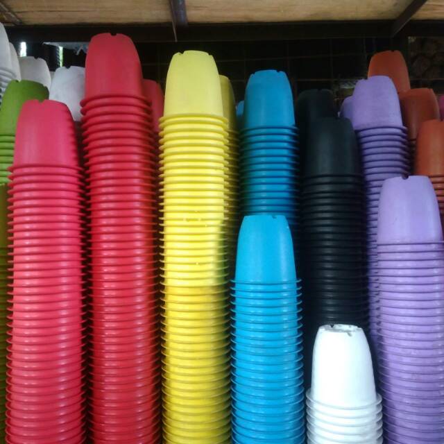 pot nkt cactus kotak 12cm