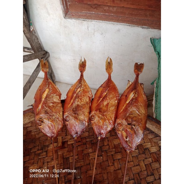 

TOGEK MURAH 3000an || Sepondok 10rb || TogekAsap 10rb 3-4 biji