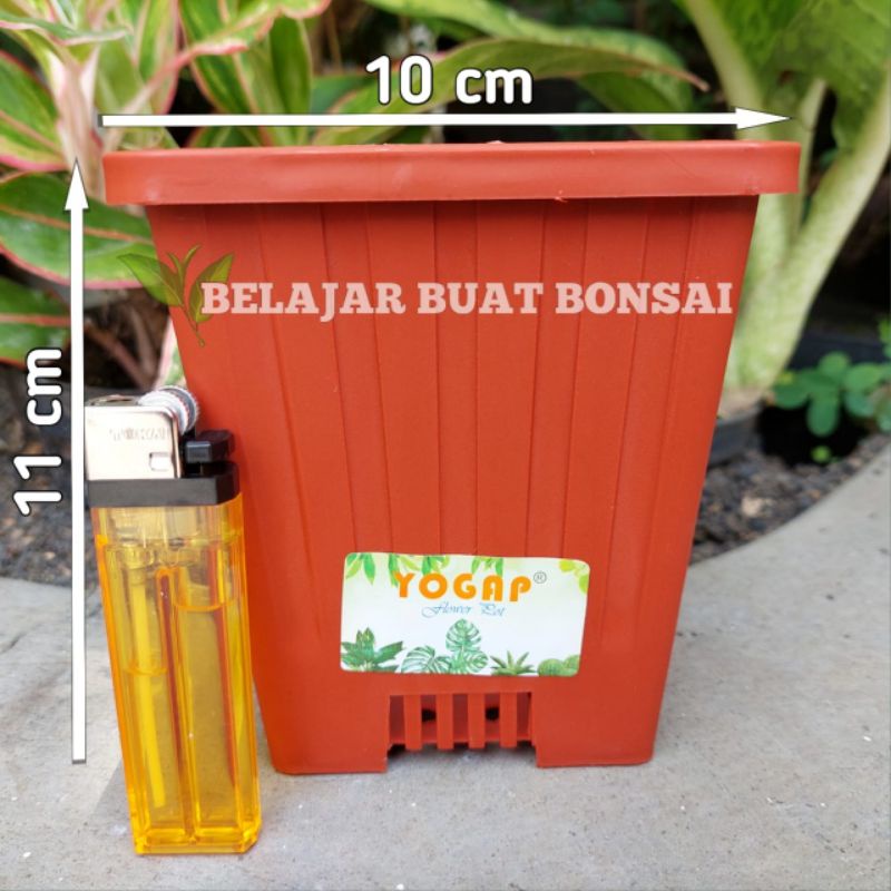 Pot Kotak YPK 10 Cm Pot Tanaman