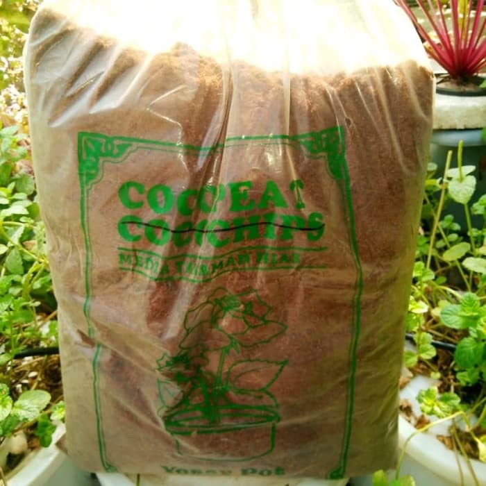 Dijual Cocopeat 250gr Sabut Kelapa Halus Untuk Media Tanam Murah Shopee Indonesia