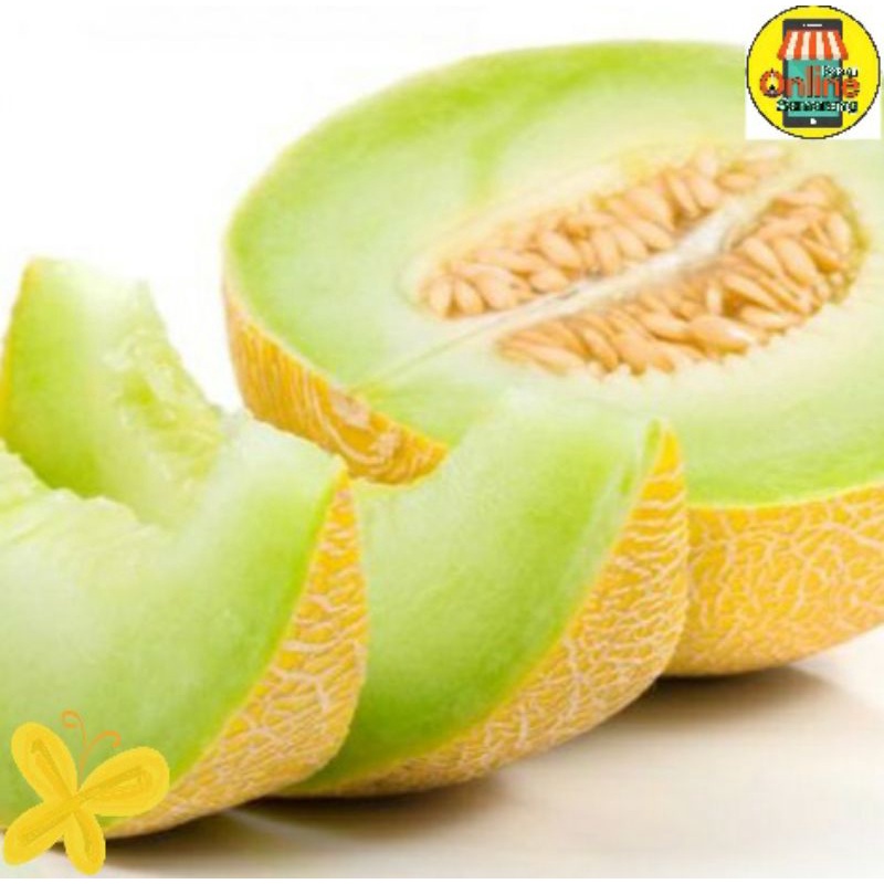 

Buah Melon Manis Fresh dan Segar / Buah Semarang Belanja Praktis Semarang