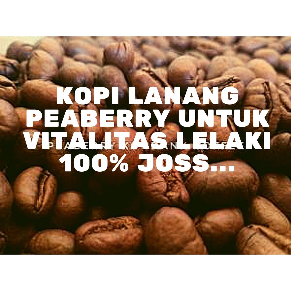 

Gold Coffee Kopi Roast Bean Lanang Peaberry Robusta Lampung Sumatra.