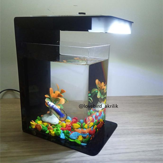 |Terbaru| Betta Fish Tank, Aquarium Mini Akrilik, Soliter Akrilik, Aquarium Mini |Promo