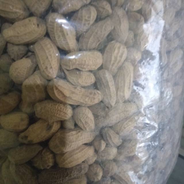 

Kacang kulit sangrai 250g cemilan jajanan keripik