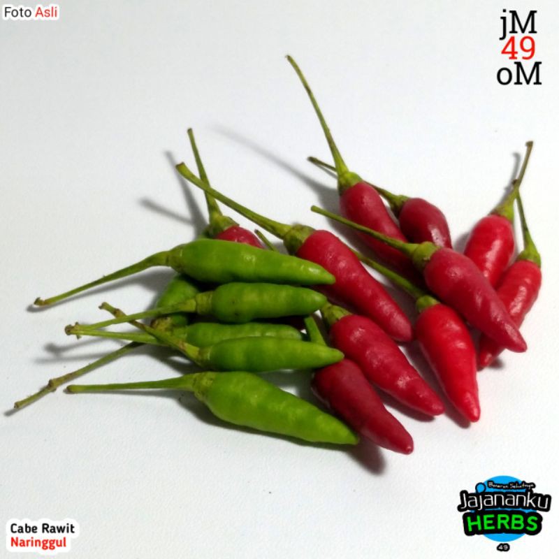 

Cabe Rawit 250g Fresh Cengek Cabai Gunung