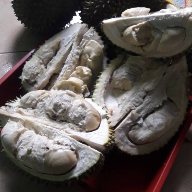

Duren mang kumis