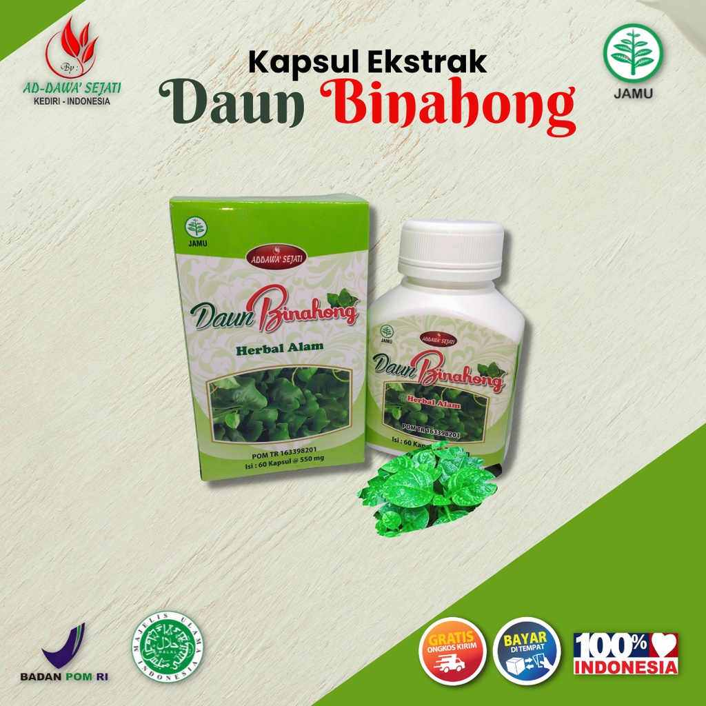 Obat Patah Tulang | Obat Patah Tulang Herbal | Obat Herbal BPOM Resmi | Kapsul Ekstrak Binahong