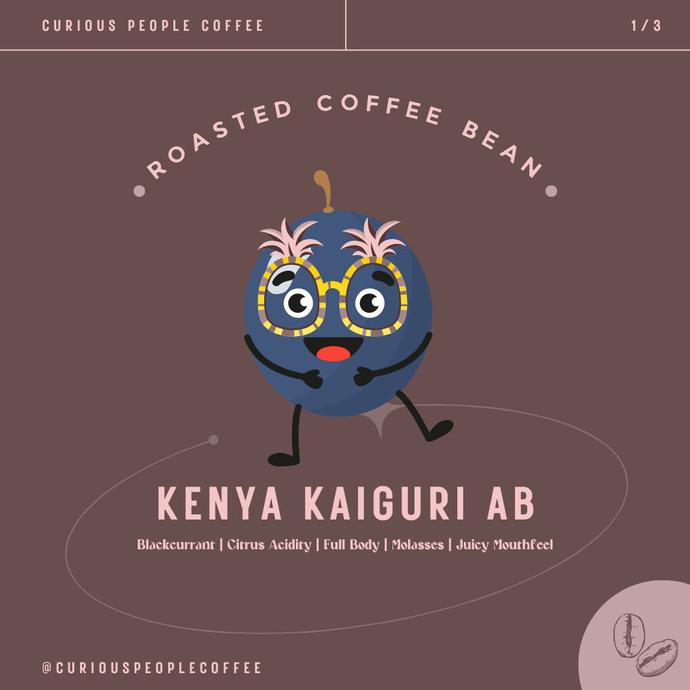 

BIJI KOPI ARABIKA MANUAL BREW - KENYA KAIGURI AB WASHED - 1 KG FBFG63546