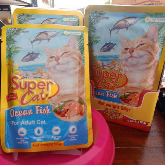 Super Cat Adult Ocean Fish