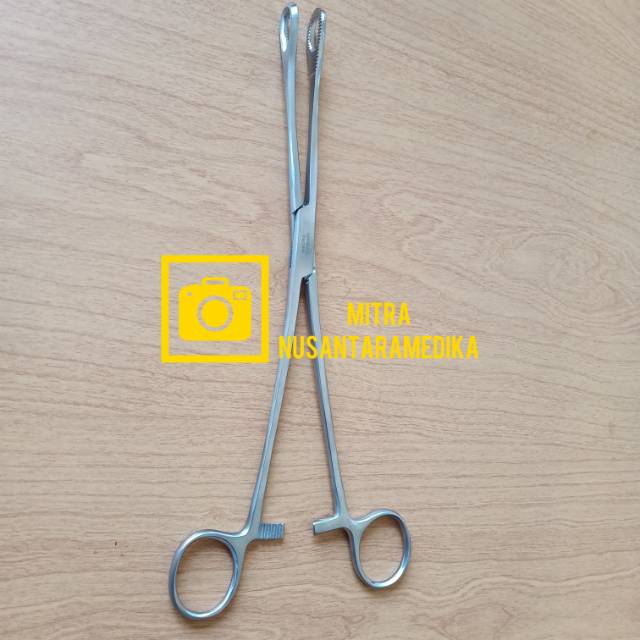 Sponge Holding Forcep Straight / Klem Kasa Forceps 25cm