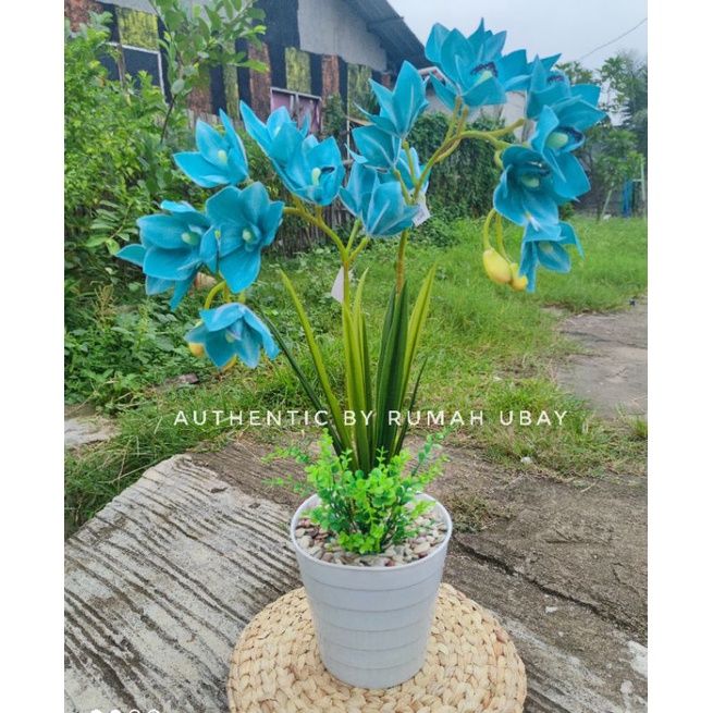ANGGREK SIMBIDIUM LATEX JUMBO / CYMBIDIUM ORCHID 5 WARNA