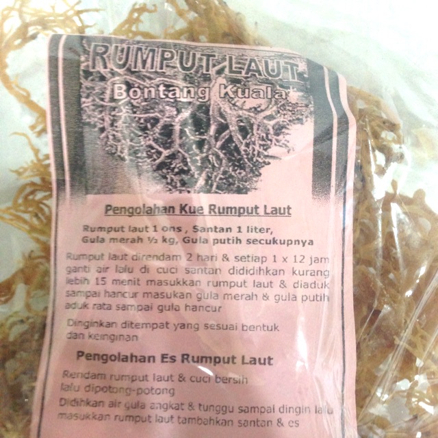 

Rumput laut kering khas bontang kuala