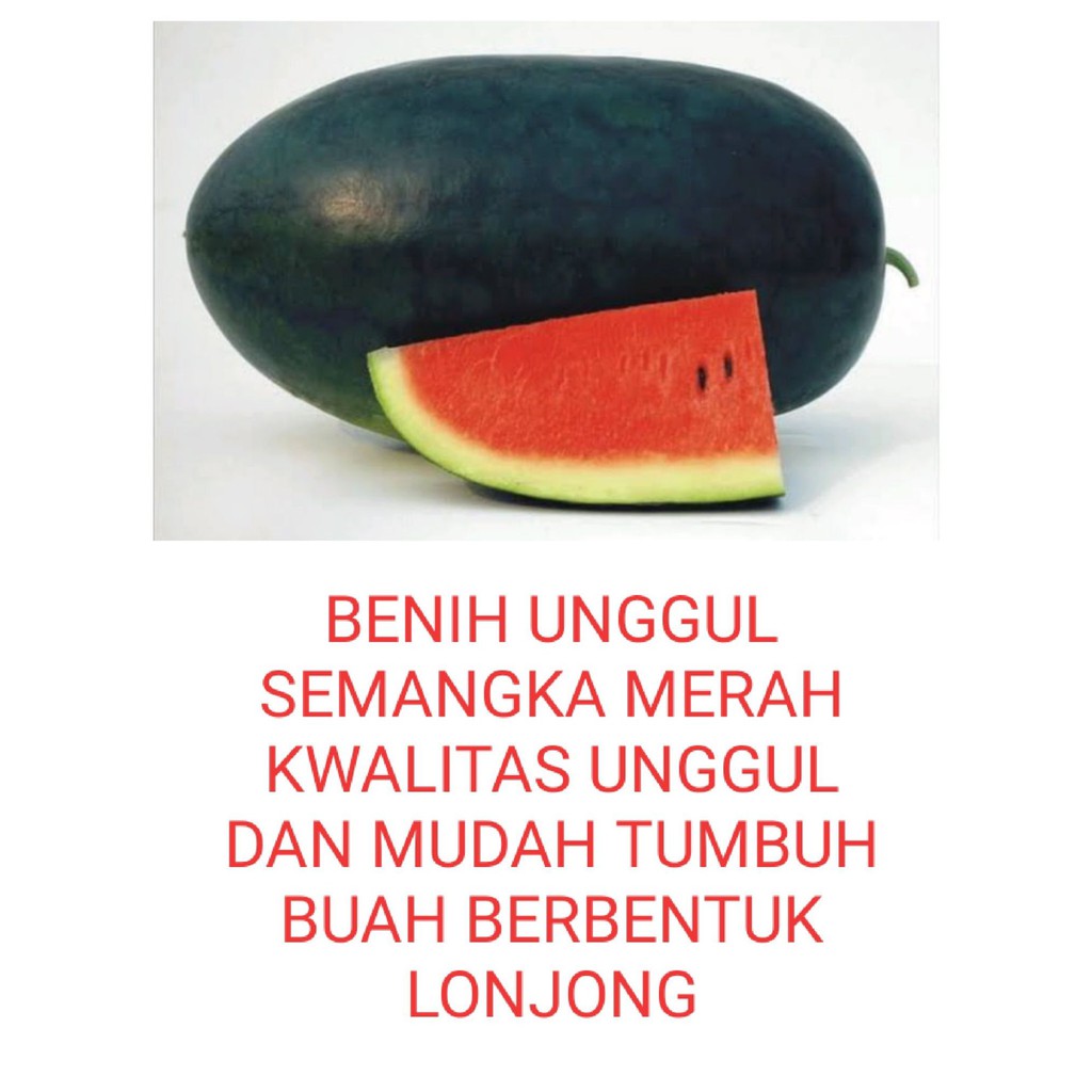 Bibit Semangka Super 25 Biji