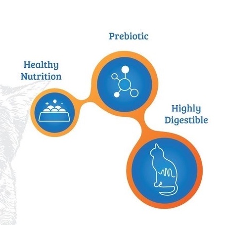 Cleo Salmon 1.2kg Freshpack Makanan Kucing Cleo Cat Food Salmon Flavor