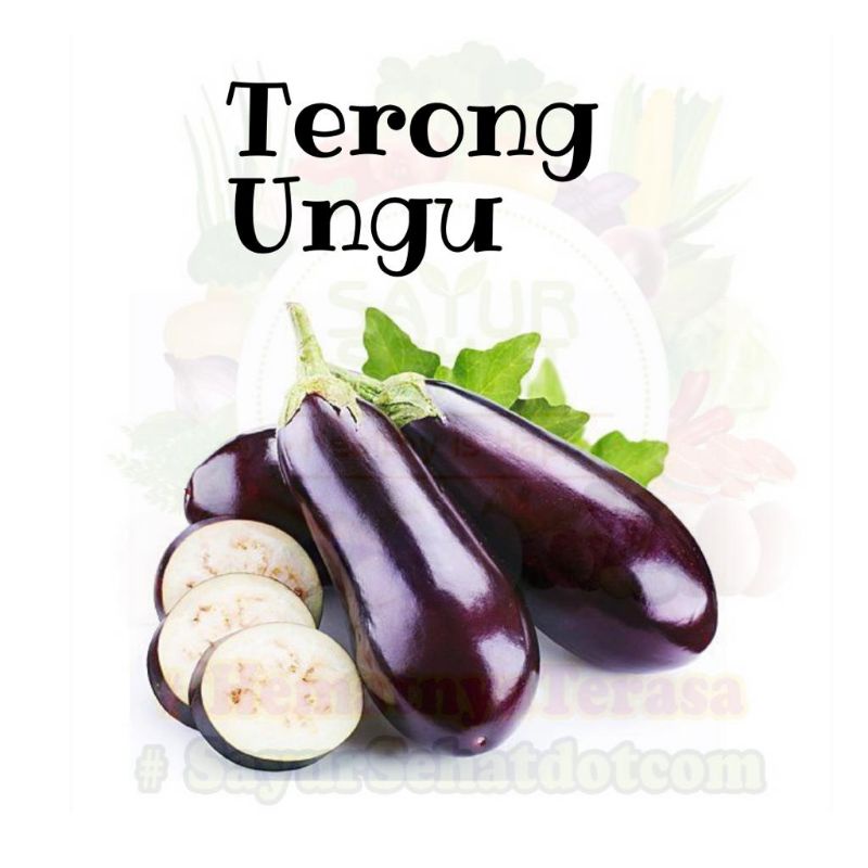 

Terong Ungu