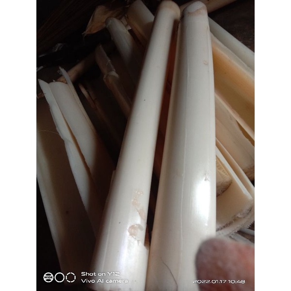 gedebok/batang pisang muda