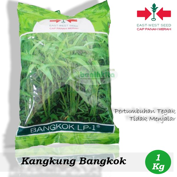 Benih Bibit Kangkung Bangkok Lp 1 1kg Cap Panah Merah Shopee Indonesia