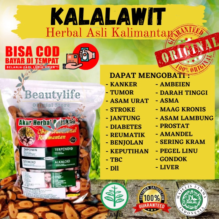 Jual Bl Akar Bajakah Asli Kalimantan Kayu Bajakah Kalalawit Minuman Tradisional Menjaga Imun