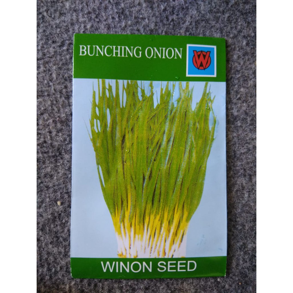 Benih Bawang Daun Bawang Winon Seed (Bunching Onion) OW