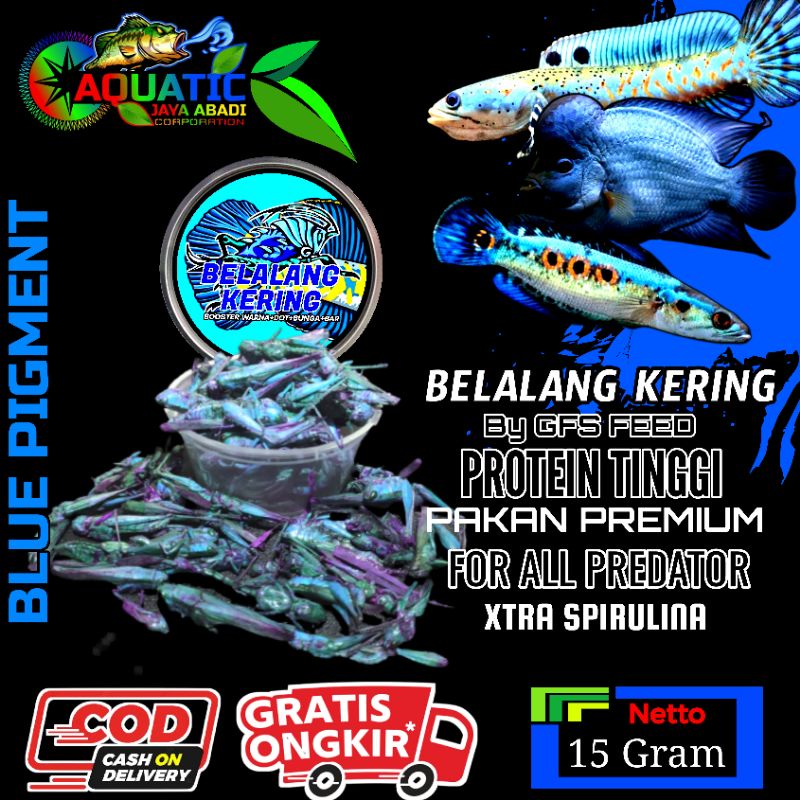 Belalang Kering Blue Pigment Booster Warna Dot