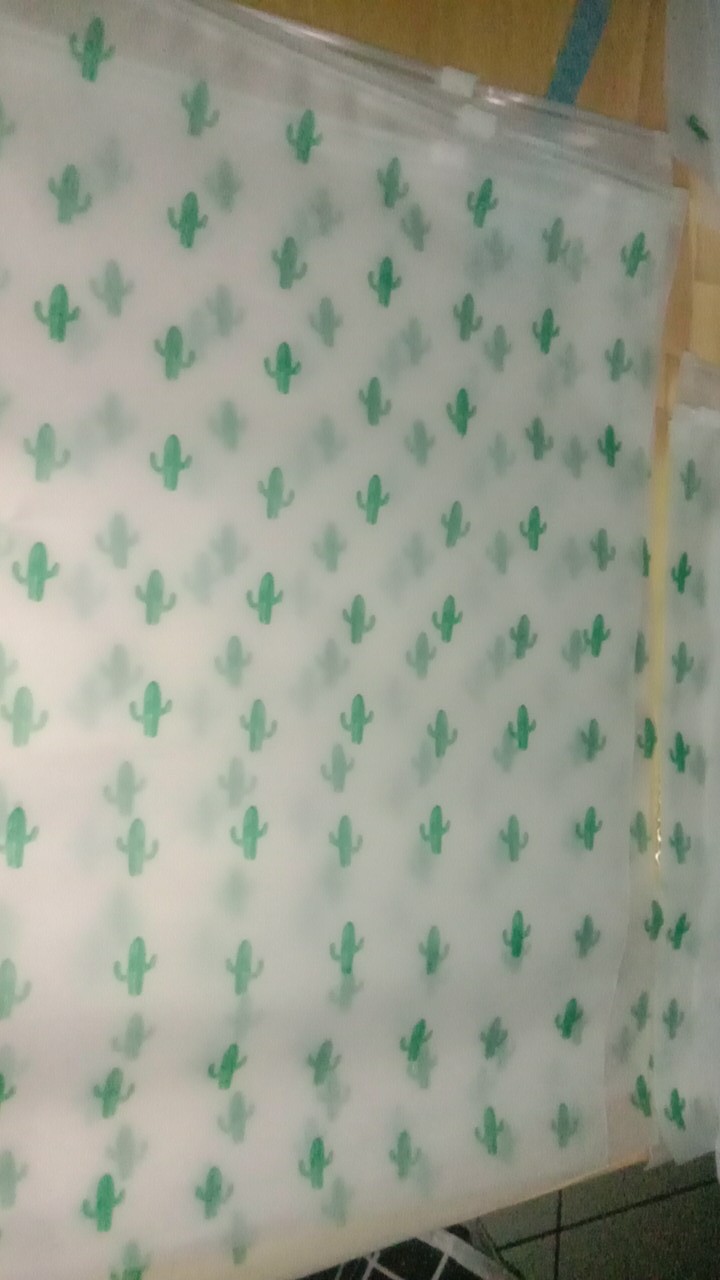 Batamgrosir.id | Kantong Storage Bag Ziplock Motif Kaktus Sedang Part 1