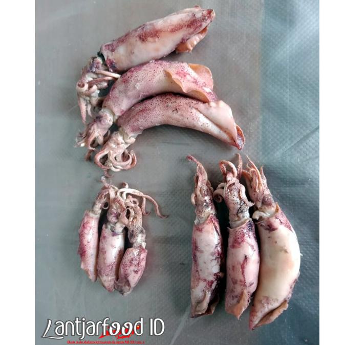 

[COD] Cumi Asin Telur - Ukuran 8-13cm - Isi 250gram [COD]