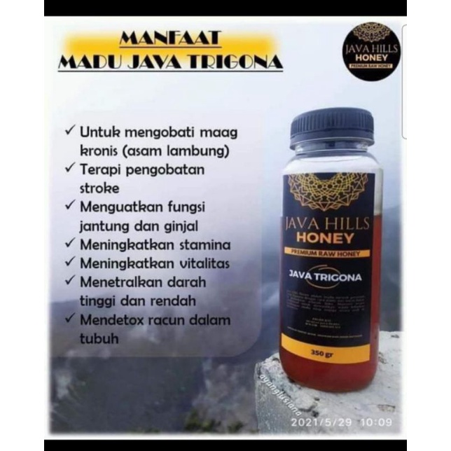 

Madu Javahills Varian Madu Trigona