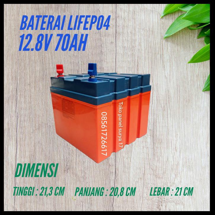 Jual AKI BATERAI LIFEPO4 12V 70AH BLUE CARBON | Shopee Indonesia