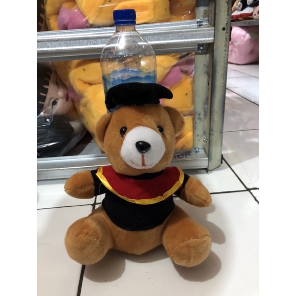 Boneka Beruang Wisuda Hadiah Wisuda SNI