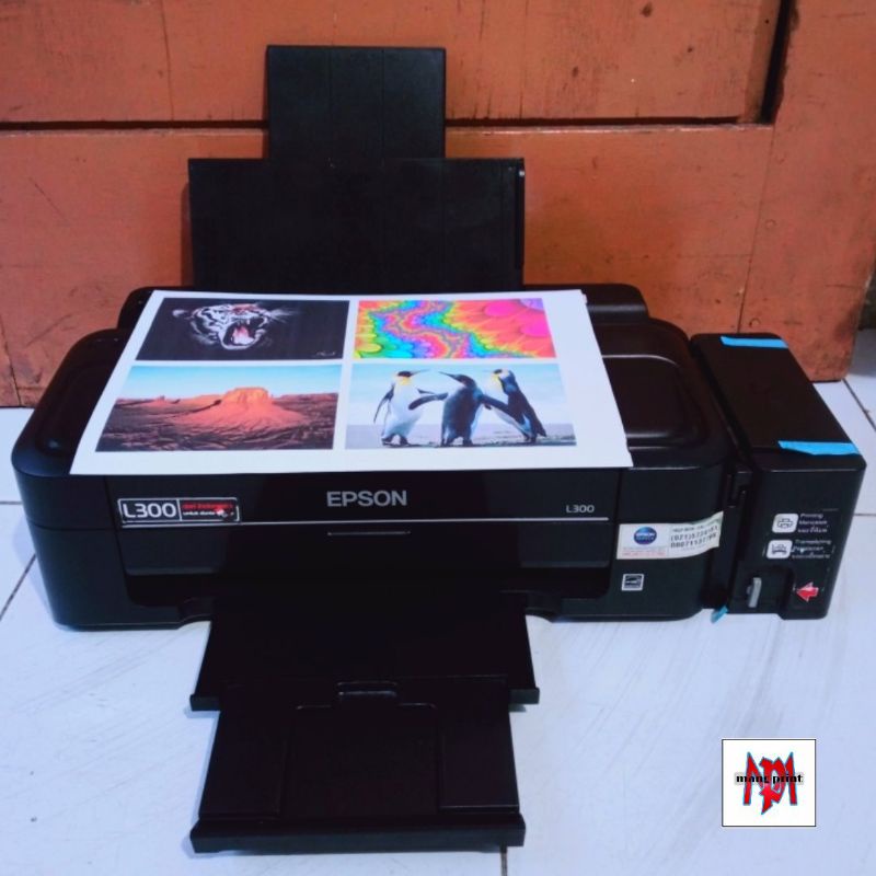 PRINTER EPSON L 300