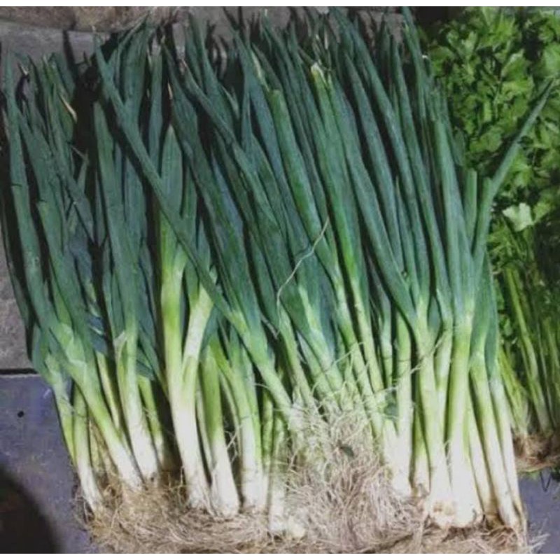 

Daun bawang 250gr