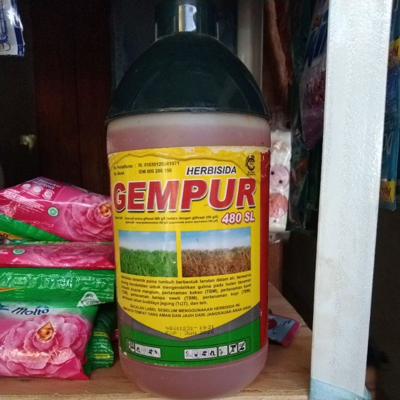 HERBISIDA GEMPUR OBAT PEMBASMI RUMPUT RUMPUT