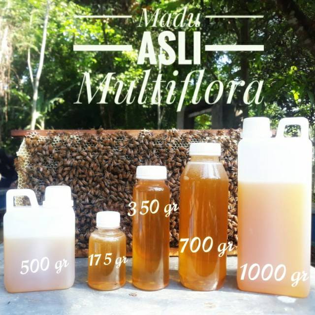 

Madu Asli Lebah Multiflora
