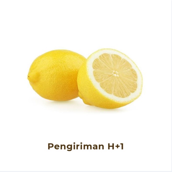 

Lemon Import Segar