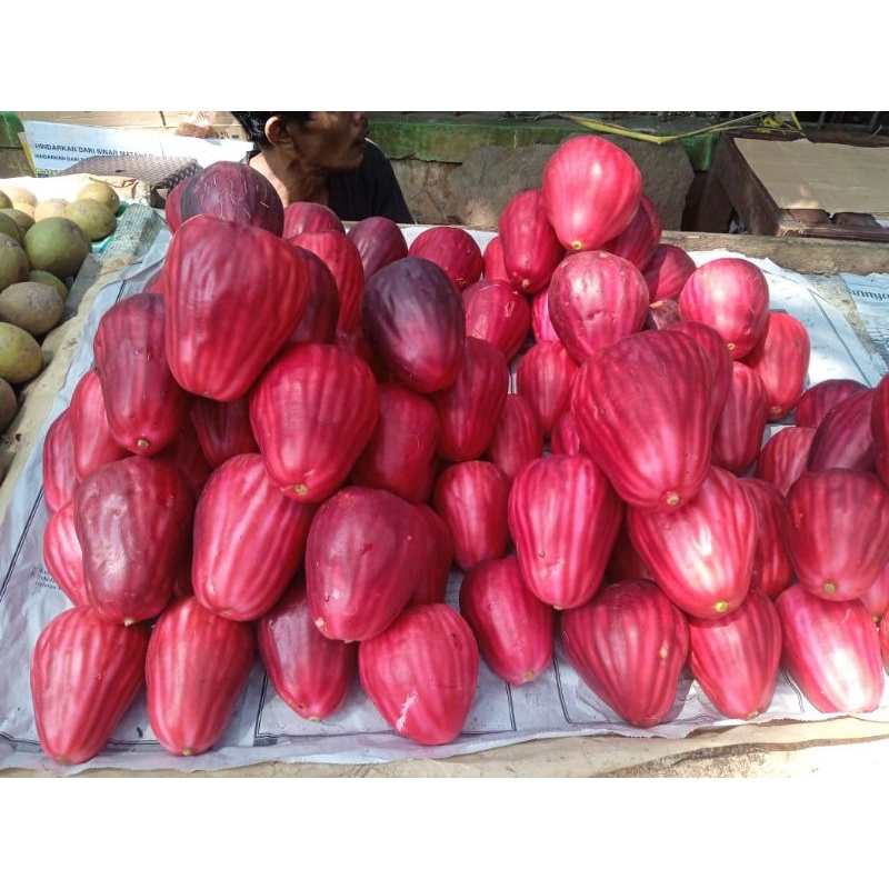 

JAMBU JAMAIKA/jambu bol fresh 1kg/BUAH JAMBU JAMAICA FRESH