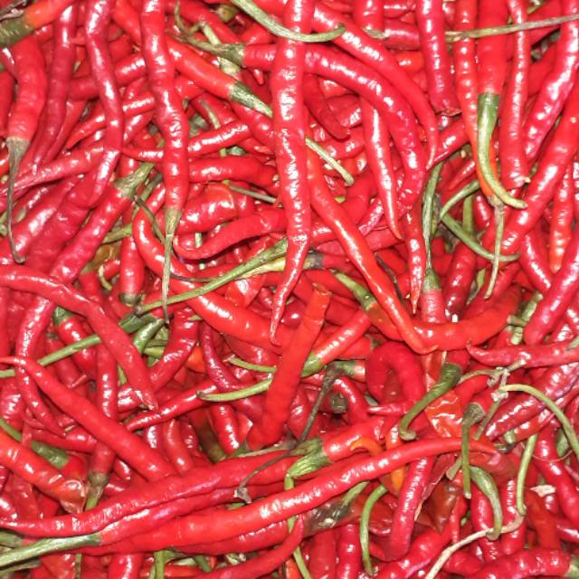

Cabai merah keriting segar