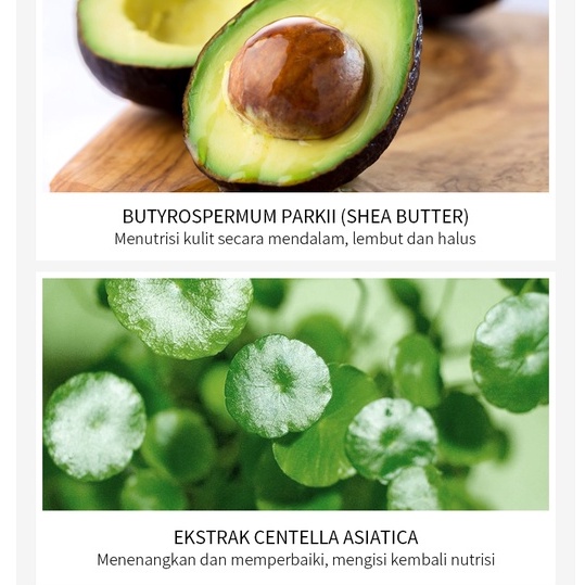 BPOM Fenyi Shea Butter Body Scrub Cream Pemutih Pelembab Menghaluskan Tubuh Membersihkan Mengeksfoliasi Mendalam 100g