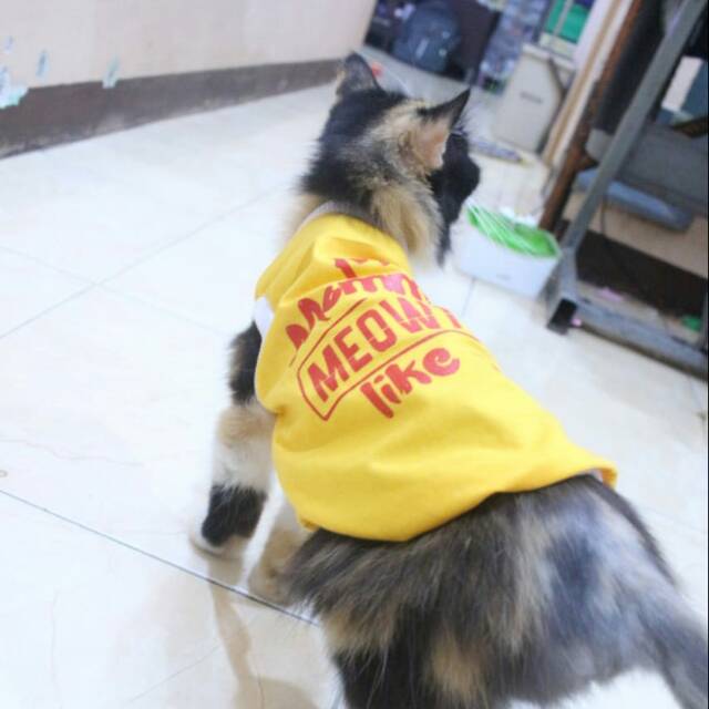 Kaos sablon murah untuk kucing dan anjing / baju kucing murah size S-XL