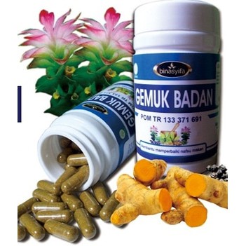 Binasyifa Kapsul Gemuk Badan Untuk Menggemukan Badan Bina Syifa Shopee Indonesia