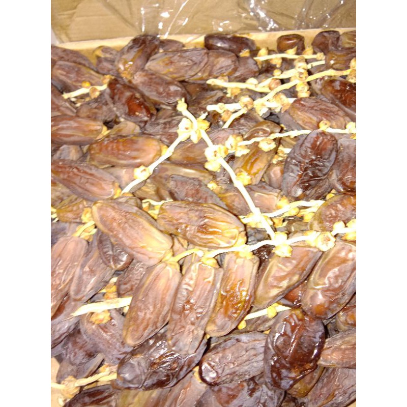 

kurma tunisia tangkai