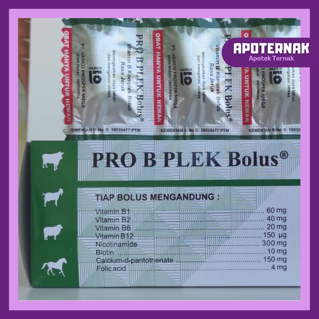 PRO B PLEK 1 Bolus | Vitamin B komplek Untuk Meningkatkan Daya Tahan dan Mengatasi Stres Pada Hewan Sapi Kambing Domba Kuda | VADCO | Apoternak