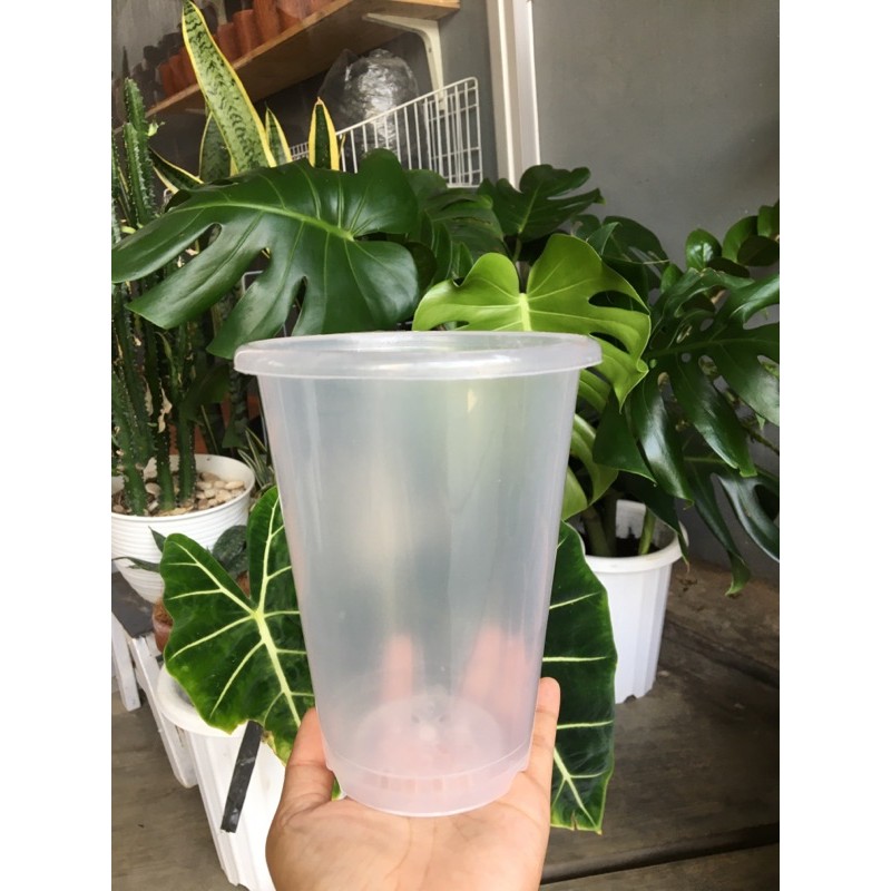 Pot NkT 12 bening - pot transparan - pot bening - pot NKT