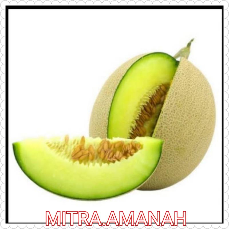 

BUAH MELON 1 BUAH 1,2KG