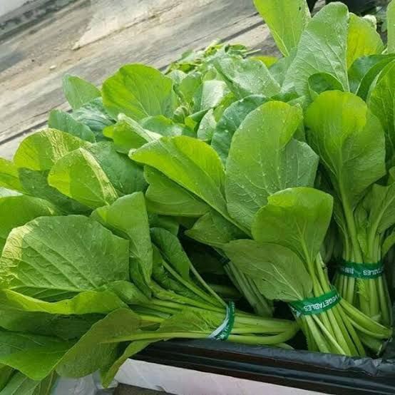 

1000 BUTIR BIJI SAWI CAISIM MANIS (REPACK)